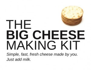 Big Cheese Making Kit